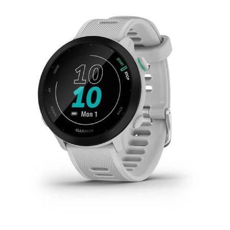 Reloj Smartwatch Garmin Forerunner 55 - 42 mm