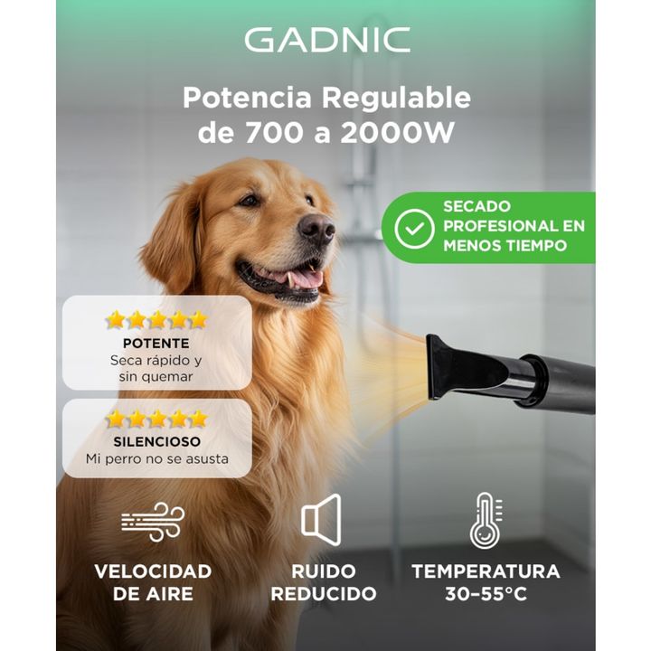Secador de Pelo Profesional Para Perros Gadnic PD2000 2000W - Vista 2