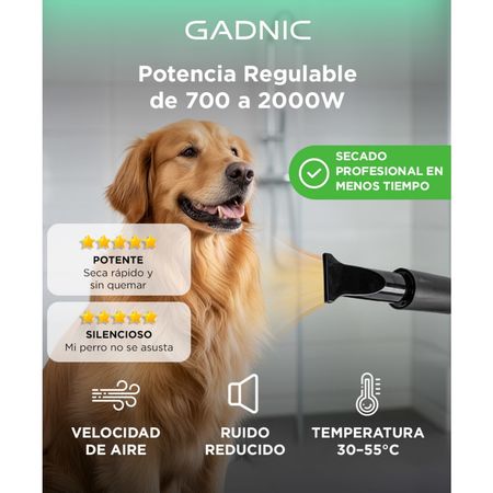 Secador de Pelo Profesional Para Perros Gadnic PD2000 2000W