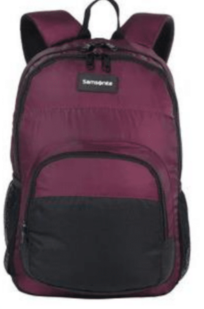 Mochila Samsonite Bison Urbana Liviana