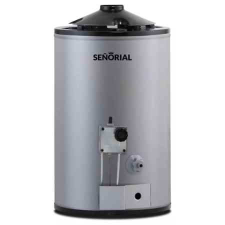 Termotanque Señorial 30 Lts Dual Lf