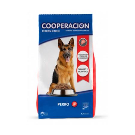 PERRO ADULTO CARNE x 20 kg