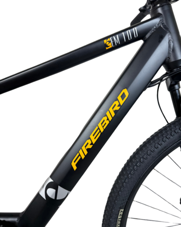 Bicicleta Electrica Fire Bird / Talle M Unico / Negro / Cuadro de aluminio bateria integrada / Frenos a discos mecanicos / Autonomia 50km aprox / Rodado 29"