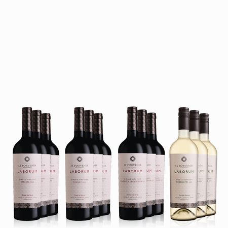 Vinos Combinados Laborum Degustacion Caja x 12