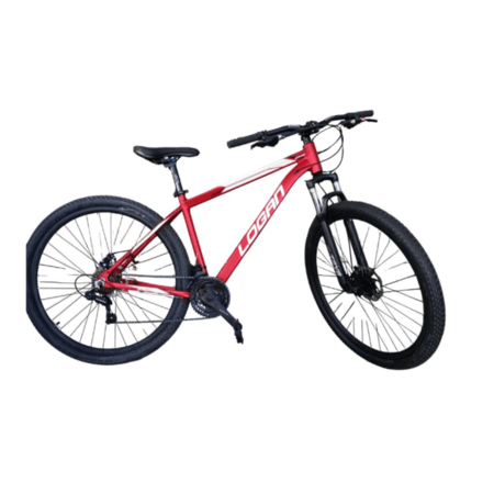 Bicicleta Enrique R29 Logan Ground 21v 