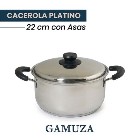 CACEROLA 26CM PLATINO 6 LTS (2107)