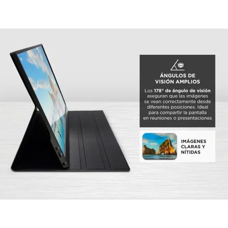 Monitor Portátil Gadnic 156 con Funda Soporte Full HD