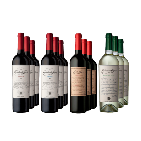 Vinos Combinados Escorihuela Gascon Seleccion x 12