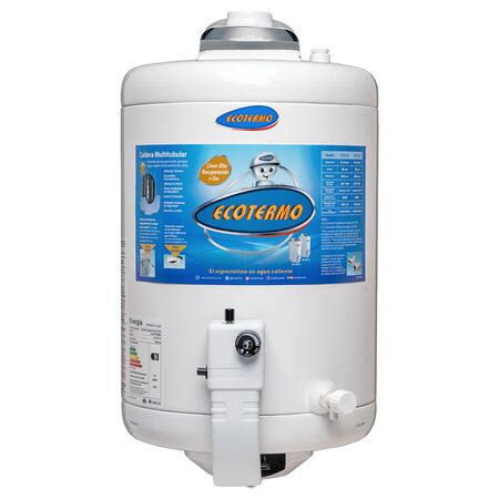 Termotanque Ecotermo 53 Lts Conexion Inferior Alta Recuperacion Gas Natural