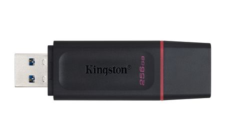 Pen Drive 256Gb Kingston 3.1 Dtx