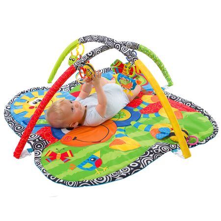 Gimnasio bebe Clip Clop Activity Playgro