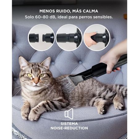Secador De Pelo Profesional Para Mascotas Gadnic 70 m/s Velocidad Maxima Difusores Intercambiables 2000W