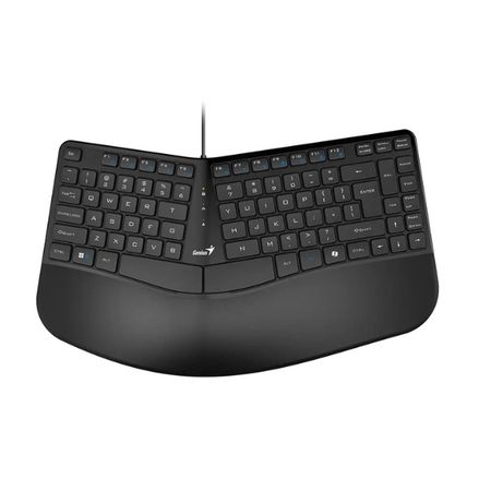 Teclado Genius Ergo KB-700 SP USB Black
