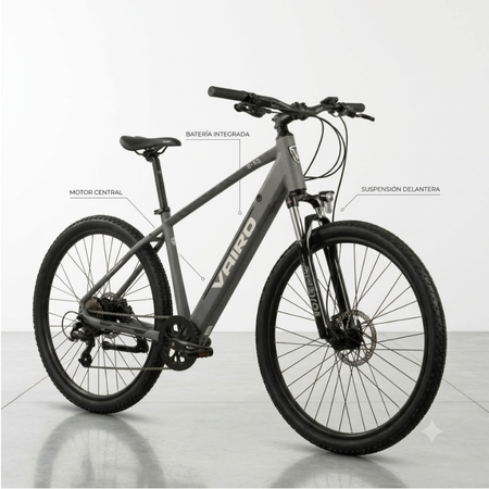 Bicicleta Electrica Mtb R29 Vairo E-xilon E-x3  Gris Talle L 