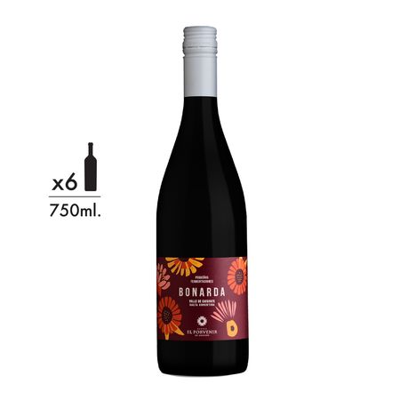 Vino Tinto Pequeñas Fermentaciones Bonarda Caja x 6