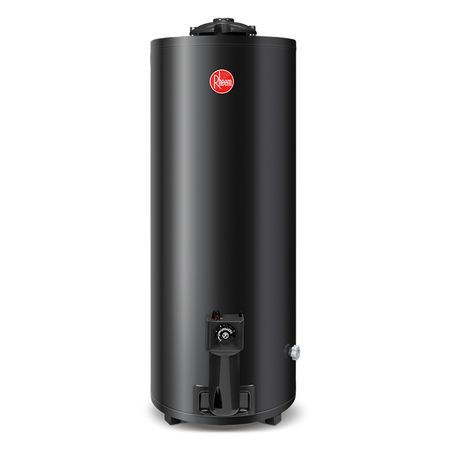 Termotanque A Gas Rheem Alta Eficiencia De Pie 120 Litros - Gas Natural