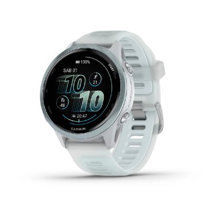 Reloj Smartwatch Garmin Forerunner 570 - 42mm