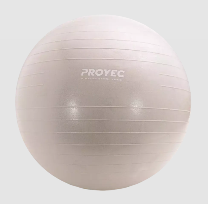 Pelota de Esferodinamia Resistent Proyec 65 cm (000218) - Vista 1
