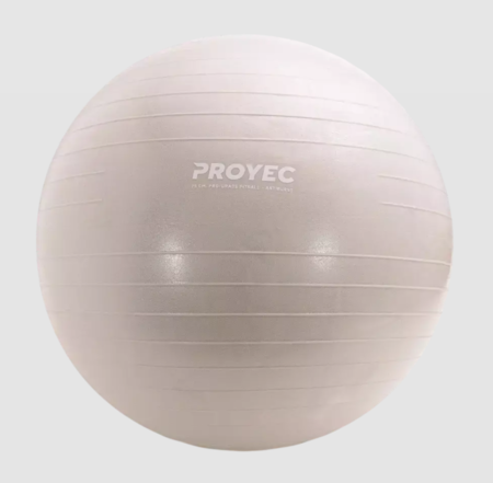 Pelota de Esferodinamia Resistent Proyec 65 cm (000218)