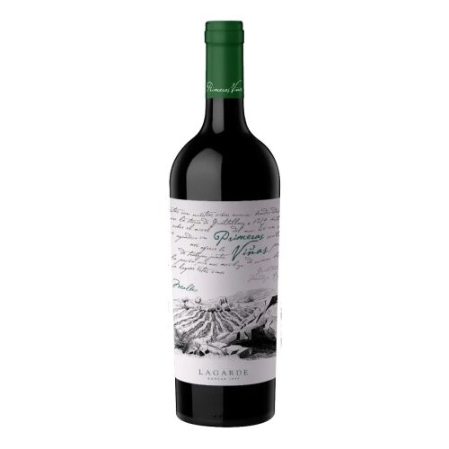 Caja x6-Primeras Vinas Malbec - Gualtallary - Vista 1