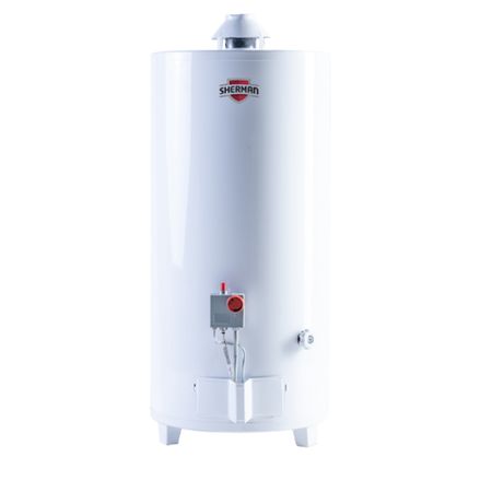 Termotanque A Gas Sherman De Pie 80 Lts C.Superior