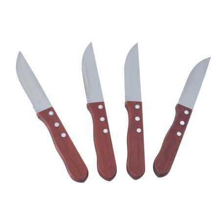 Set De 4 Cuchillos Asado