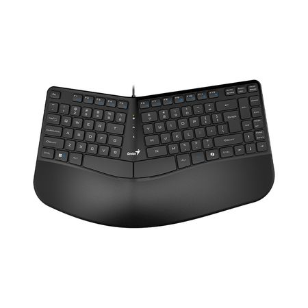 Teclado Genius Ergo KB-700 USB Ergonomico Negro