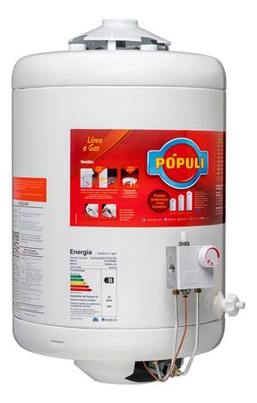 Termotanque Populi 45 Lts Gas Colgar Conexión Superior 