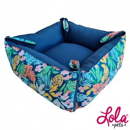 Cucha Dormilón (M0001)