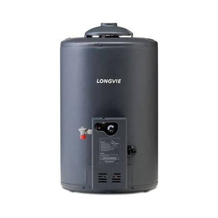 TERMOTANQUE LONGVIE 50LT T4050C REC.148L/HS