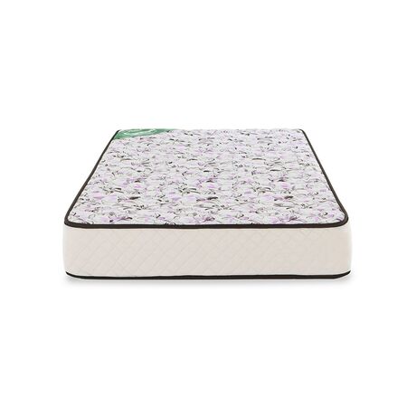 Colchón 1 Plaza Cannon Princess Espuma Poliuretano 0.80X1.90X20