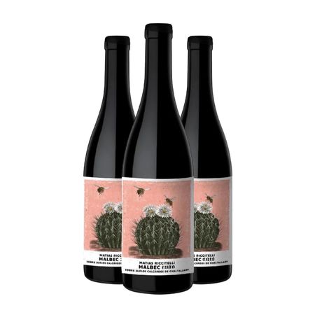 Vino Tinto Riccitelli Gualtallary Malbec Caja x 3