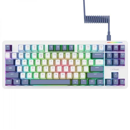 Teclado Gamer Mecanico Gxtrust 872 Xyra TKL Tipo Gasket Qwerty Ingles
