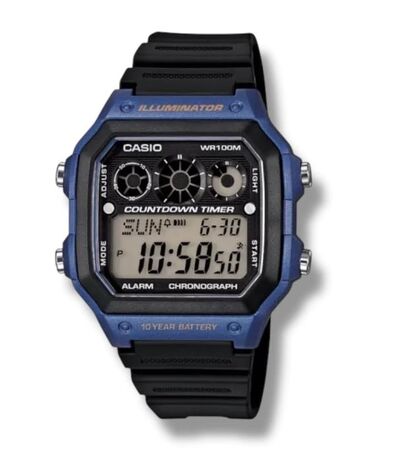 Reloj CASIO (RCASIO0541)