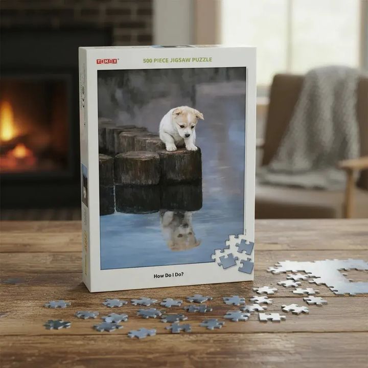 Rompecabezas Tomax ¿Cómo Lo Hago? 500 Piezas Puzzle Educativo - Vista 5