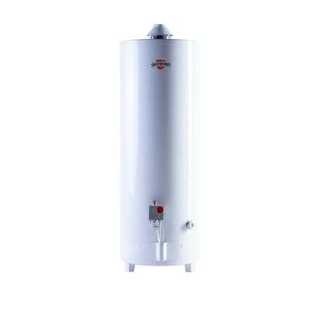 Termotanque A Gas Sherman De Pie 120 Litros Multigas C.Superior Tpgp120