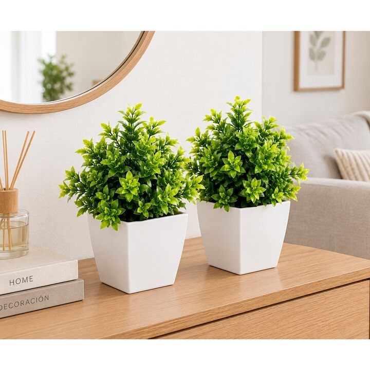 Set de 2 plantas artificiales con maceta 15CM - Vista 3