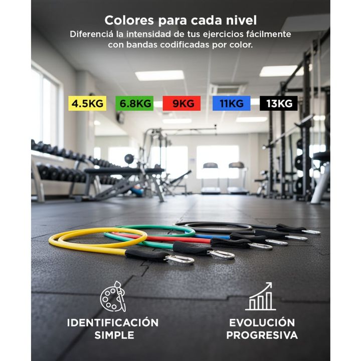 Bandas Elásticas Gadnic Kit x5 1.2mts 5 Intensidades + Anclajes y Accesorios - Vista 3