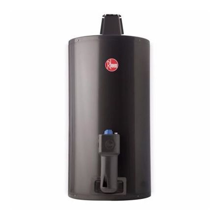 Termotanque Rheem-Nl TGNC080RH 80 Litros A Gas Inferior