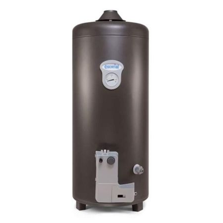 Termotanque Escorial ESC-80L Geiser A Gas 80 Litros Superior