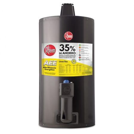 Termotanque Aee Gn Colgar 80 Litros Conexión Inferior Tgnc080rh Gris Rheem