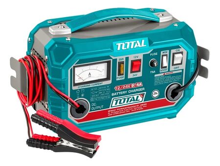 Cargador Bateria Auto Lancha Camioneta Total 12/24 V 180 Amp
