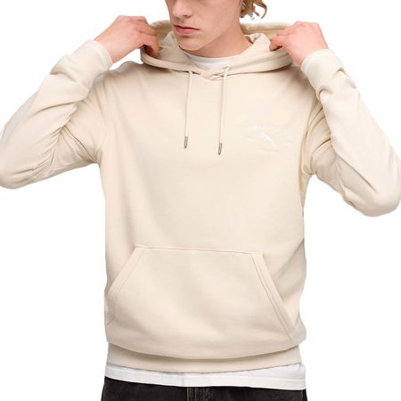 BUZO PUMA CLASS GRAPHIC HOODIE TR 692228/87