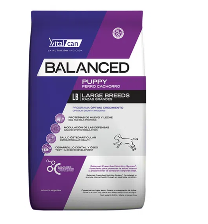 Balanced junior large x 20 Kg