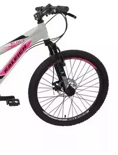 Bicicleta Mtb Ninos Raleigh Scout Rodado 24 Aluminio - Vista 2
