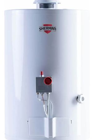 Termotanque Multigas Pie 50 Litros Conexión Superior Tpgp050msh13 Sherman