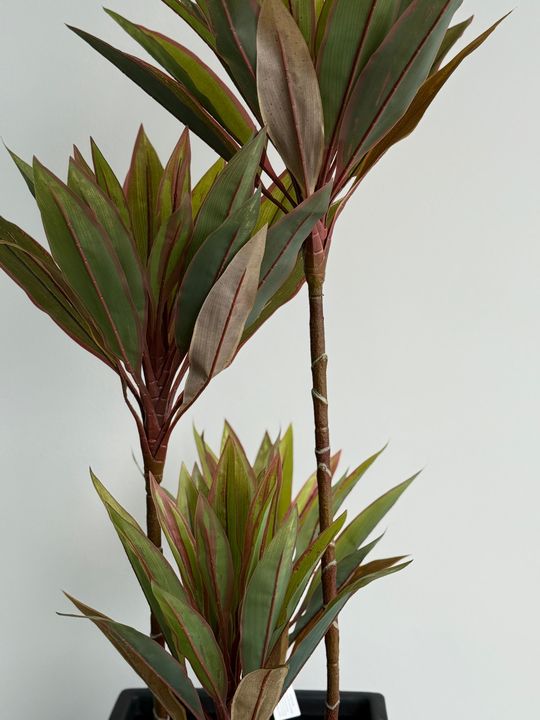 Planta Artificial 140CM - Dracena - Vista 2