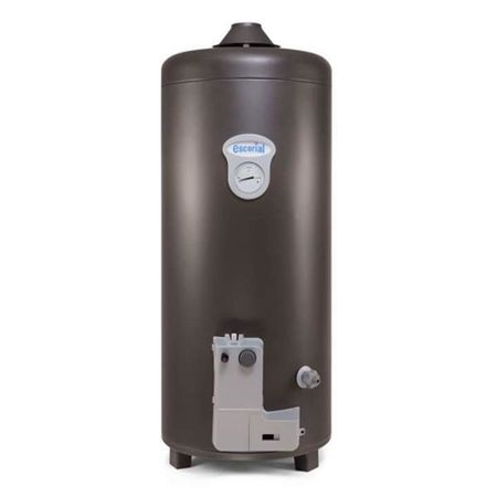 Termotanque Escorial ESC-80L Geiser A Gas 80 Litros Superior