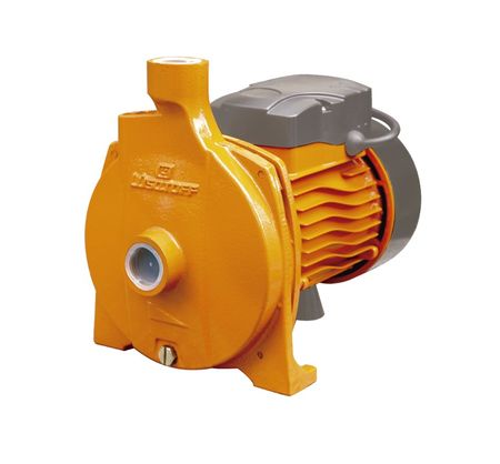 Bomba Centrifuga Lusqtoff 3/4 Hp Cpm146 Elevadora Agua Rex