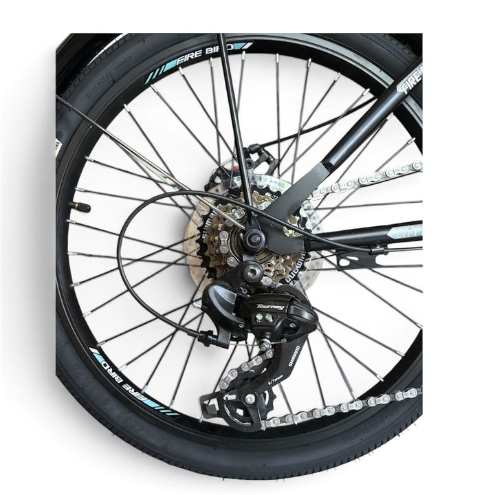 Bicicleta Plegable Fire Bird Rect _Negro-Celeste _Cuadro de acero _Freno a disco _6vel _ Rodado 20” - Vista 3